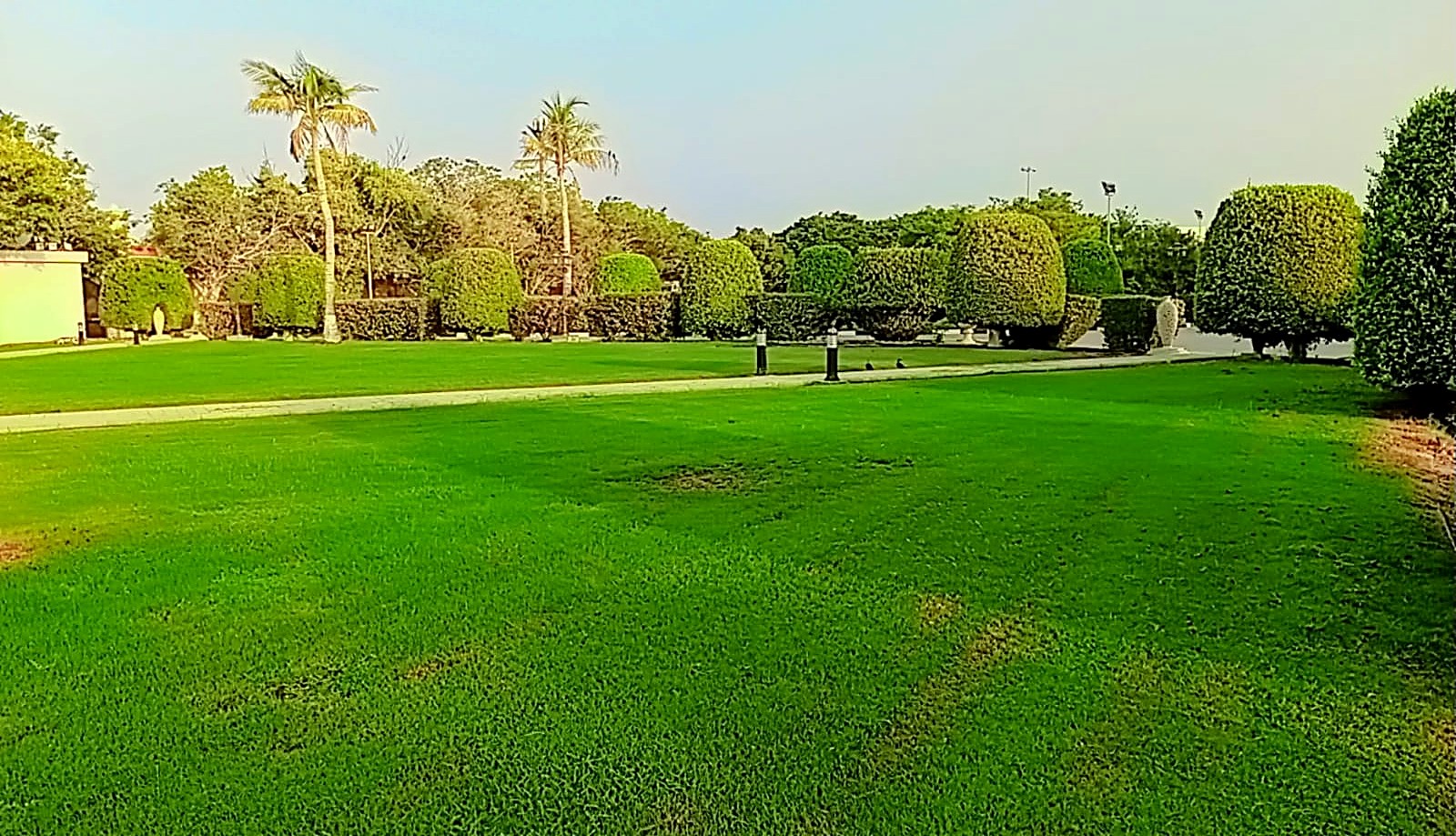 Landscaped villa grounds with lawn, palm trees and paved pathway