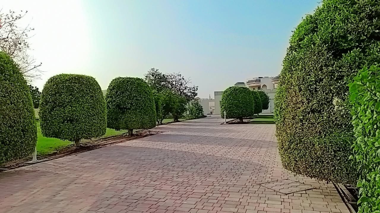 Freshly trimmed topiary hedges along a garden path