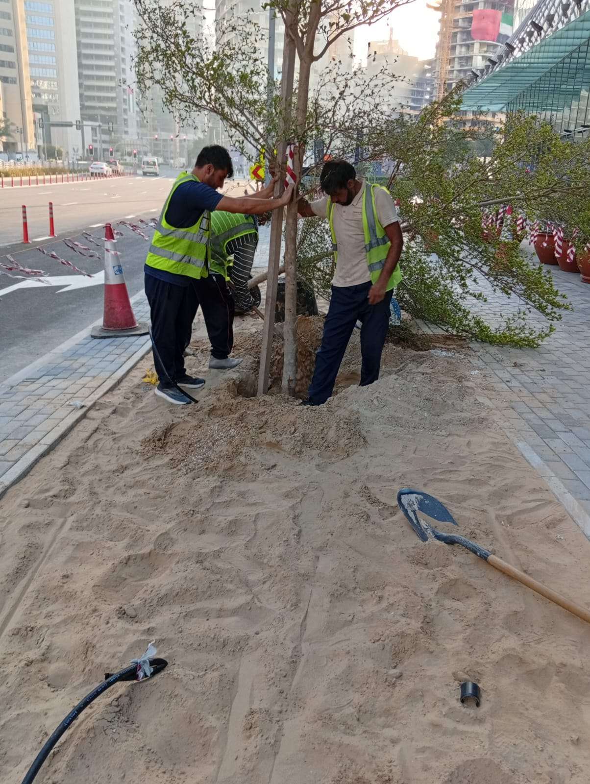Palm and tree planting works at the Truck Rest Area Extension