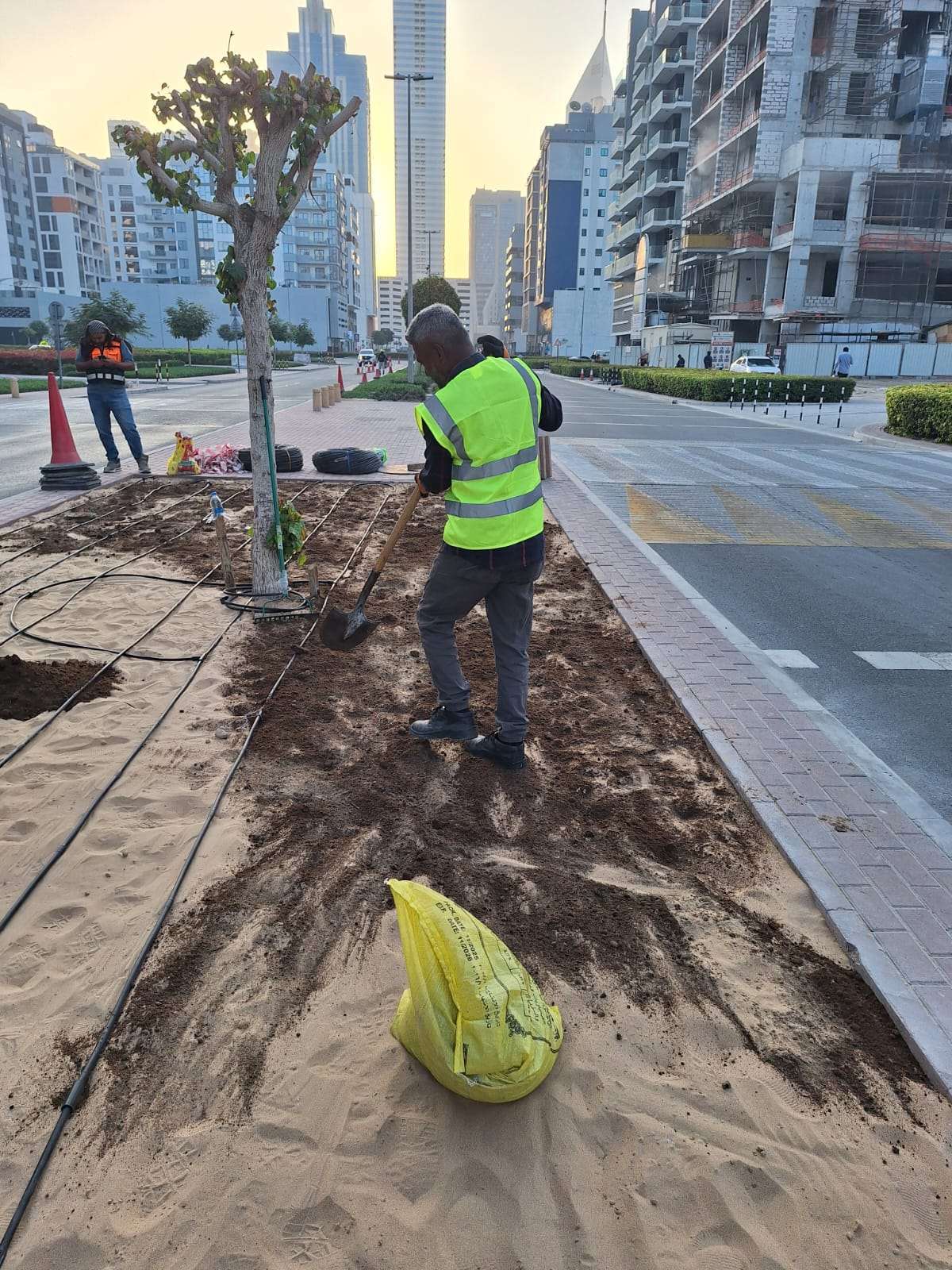 Street tree planting at DCM Bora Tower, Business Bay